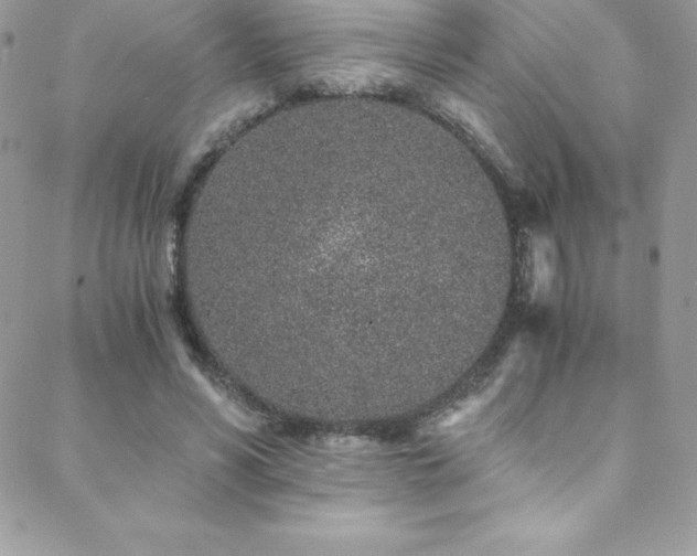 X0000088840590200706071422