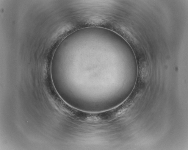 X0000088840591200706071422