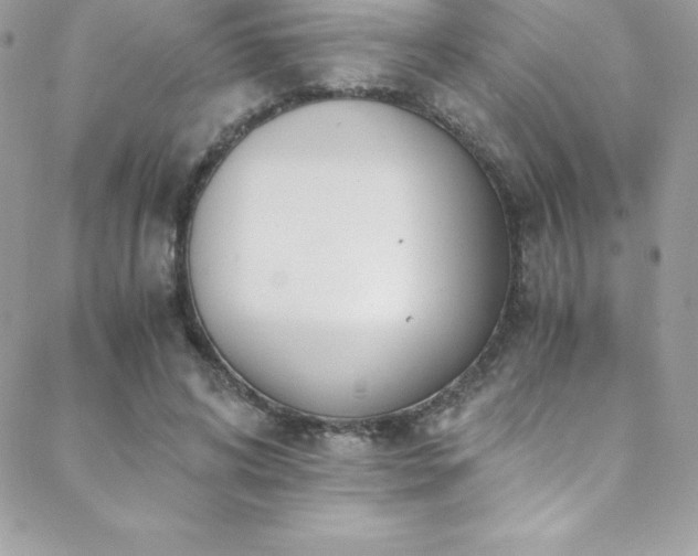 X0000088840592200706071422