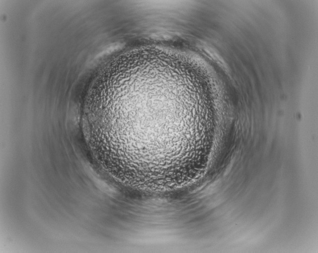 X0000088840593200706071422