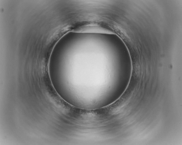 X0000088840594200706071422