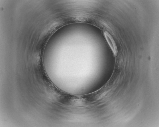 X0000088840595200706071422