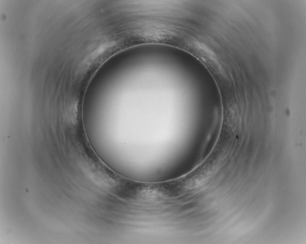 X0000088840596200706071422