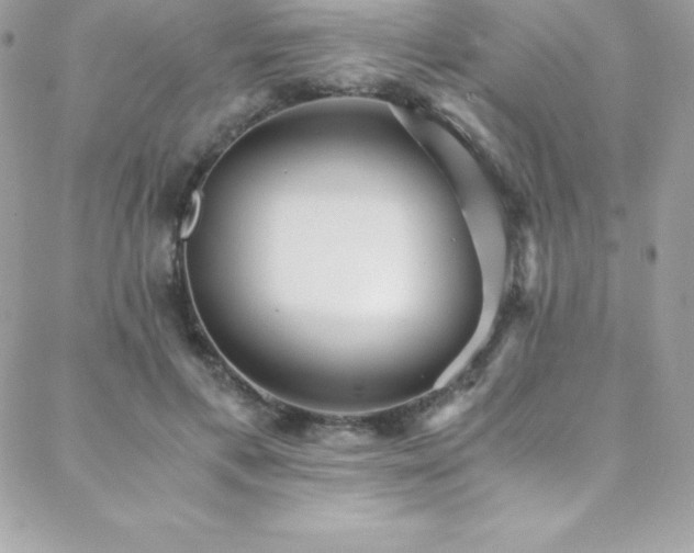 X0000088840597200706071422