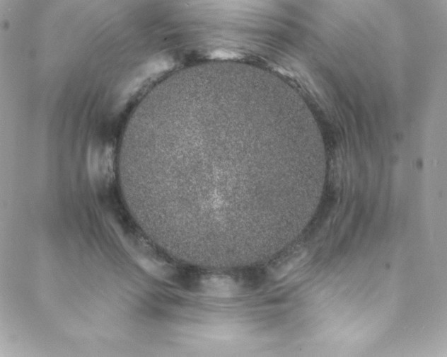 X0000088840598200706071422