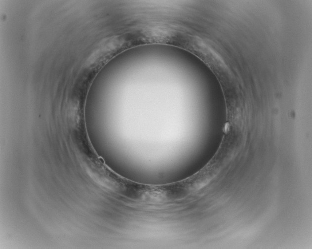 X0000088840599200706071422