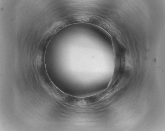 X0000088840600200706071422