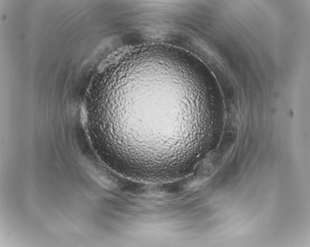 X0000088840601200706071422