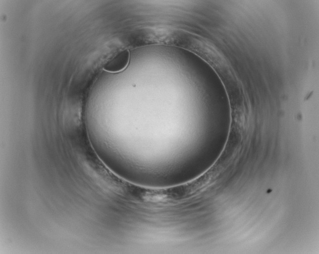 X0000088840602200706071422