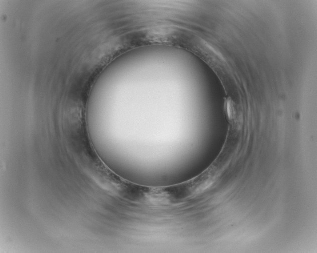 X0000088840603200706071422