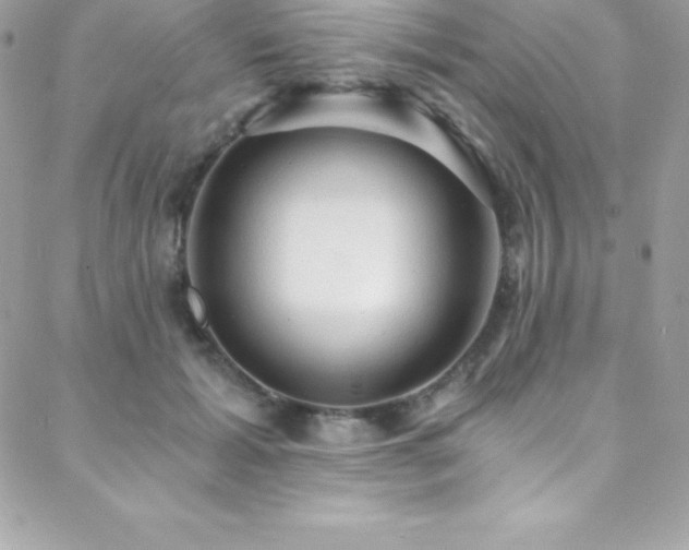 X0000088840605200706071422