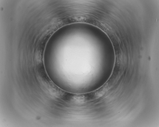 X0000088840606200706071422