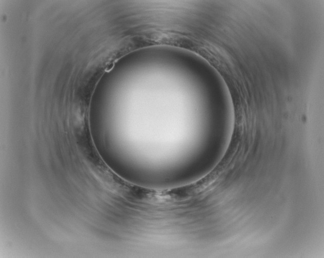 X0000088840607200706071422