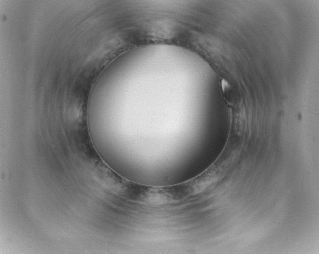 X0000088840608200706071422