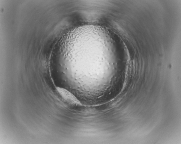 X0000088840609200706071422