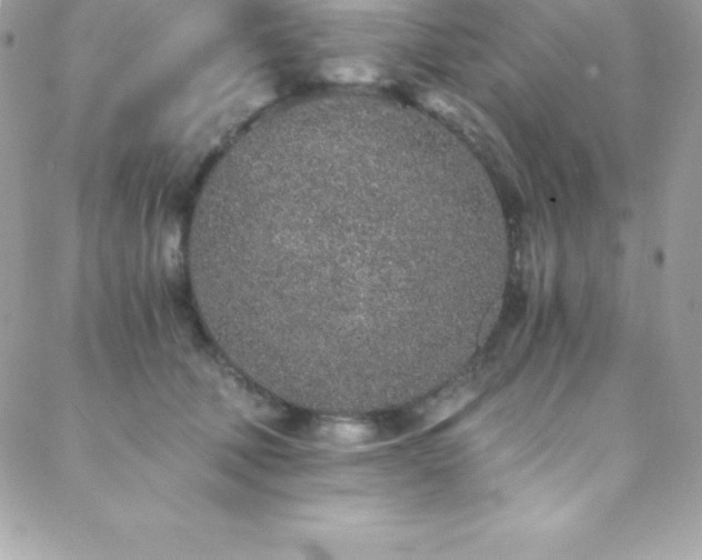 X0000088840610200706071422