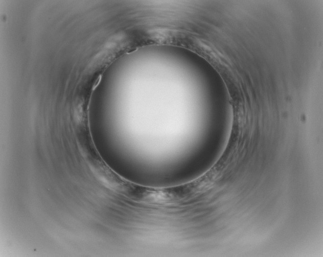 X0000088840611200706071422