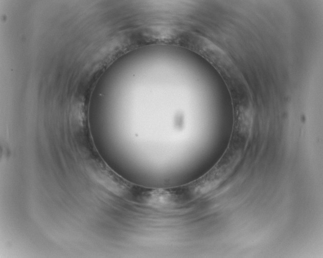 X0000088840612200706071422