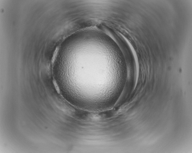 X0000088840613200706071422