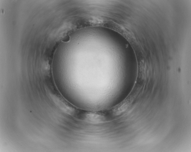 X0000088840614200706071422