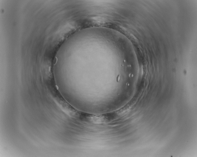 X0000088840615200706071422