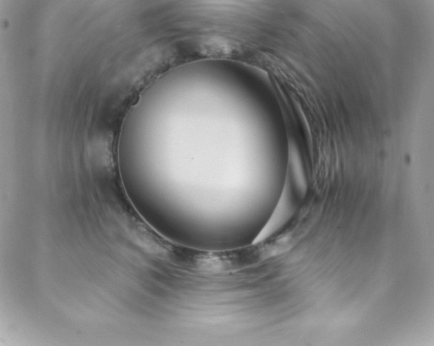 X0000088840616200706071422