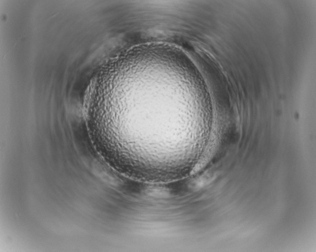 X0000088840617200706071422