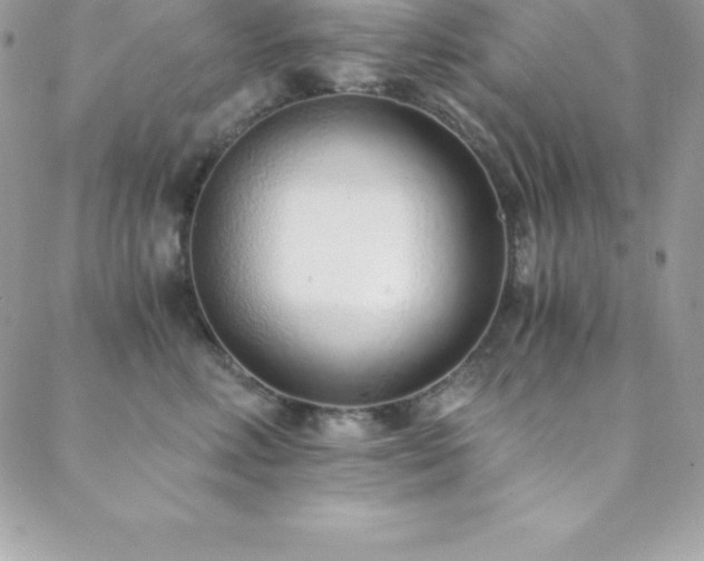 X0000088840618200706071422