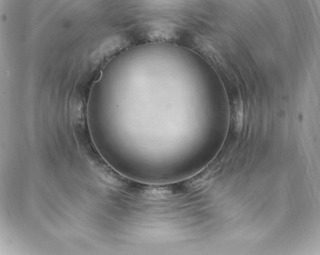 X0000088840619200706071421