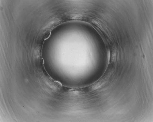 X0000088840620200706071421