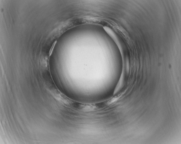 X0000088840621200706071421