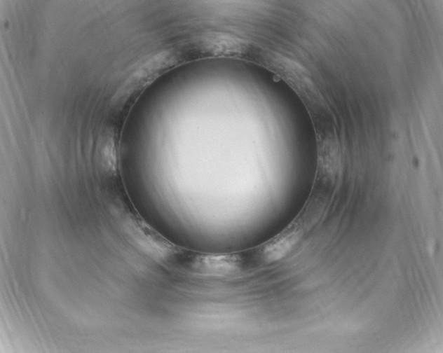 X0000088840622200706071421