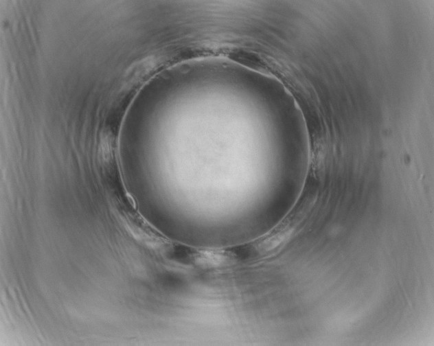 X0000088840623200706071421