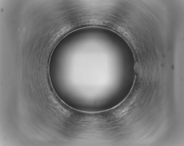 X0000088840625200706071421