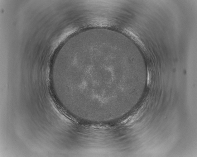 X0000088840627200706071421