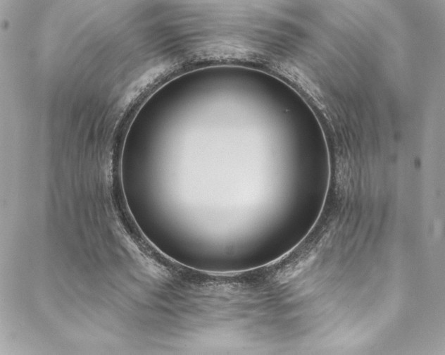 X0000088840629200706071421