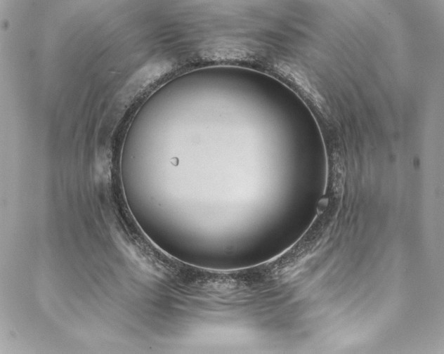 X0000088840631200706071421