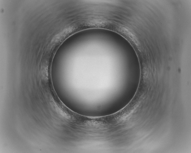 X0000088840633200706071421