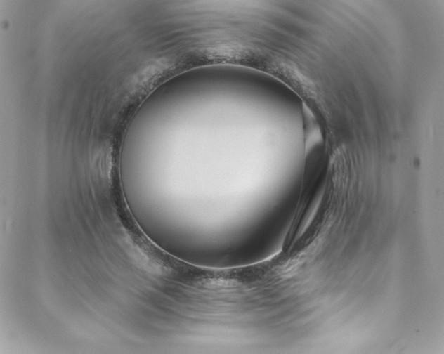 X0000088840637200706071421