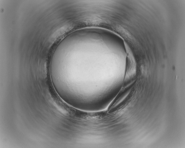 X0000088840638200706071421