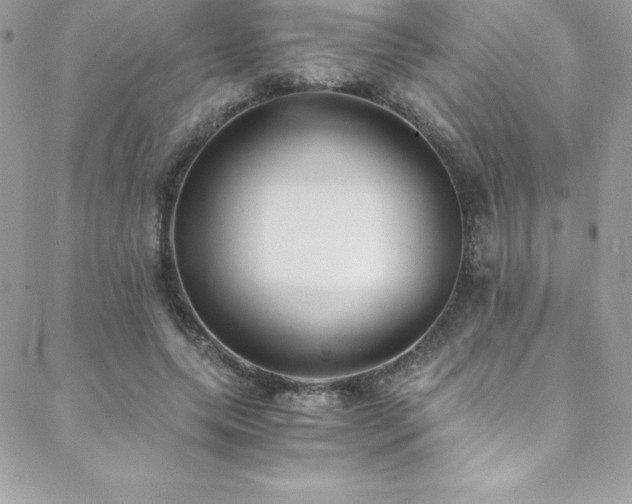 X0000088840639200706071421