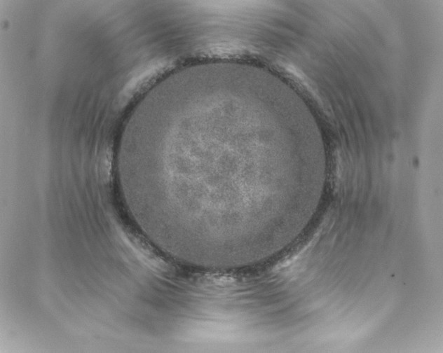 X0000088840640200706071421