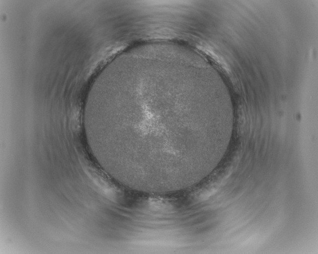 X0000088840641200706071421