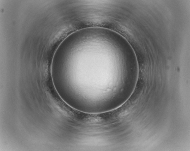 X0000088840642200706071421