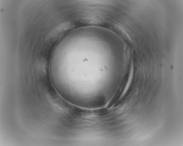 X0000088840643200706071421