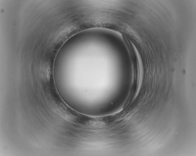 X0000088840644200706071421