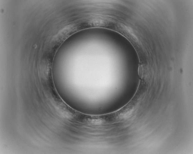 X0000088840645200706071421