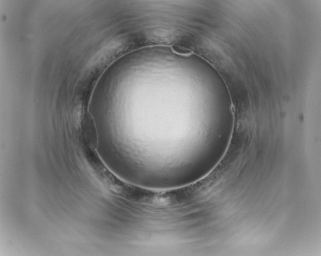 X0000088840647200706071421