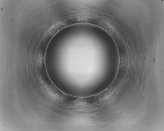 X0000088840648200706071421