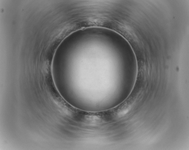 X0000088840649200706071421